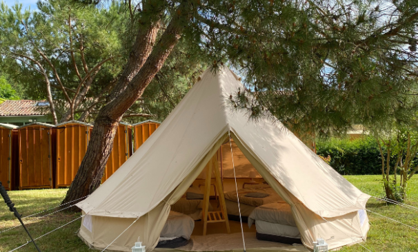 Open furnished yurt beneath a tree